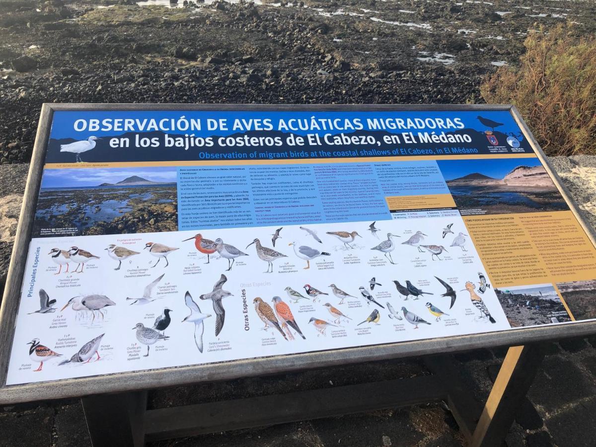 Edificio Teresa Lägenhet El Médano Exteriör bild